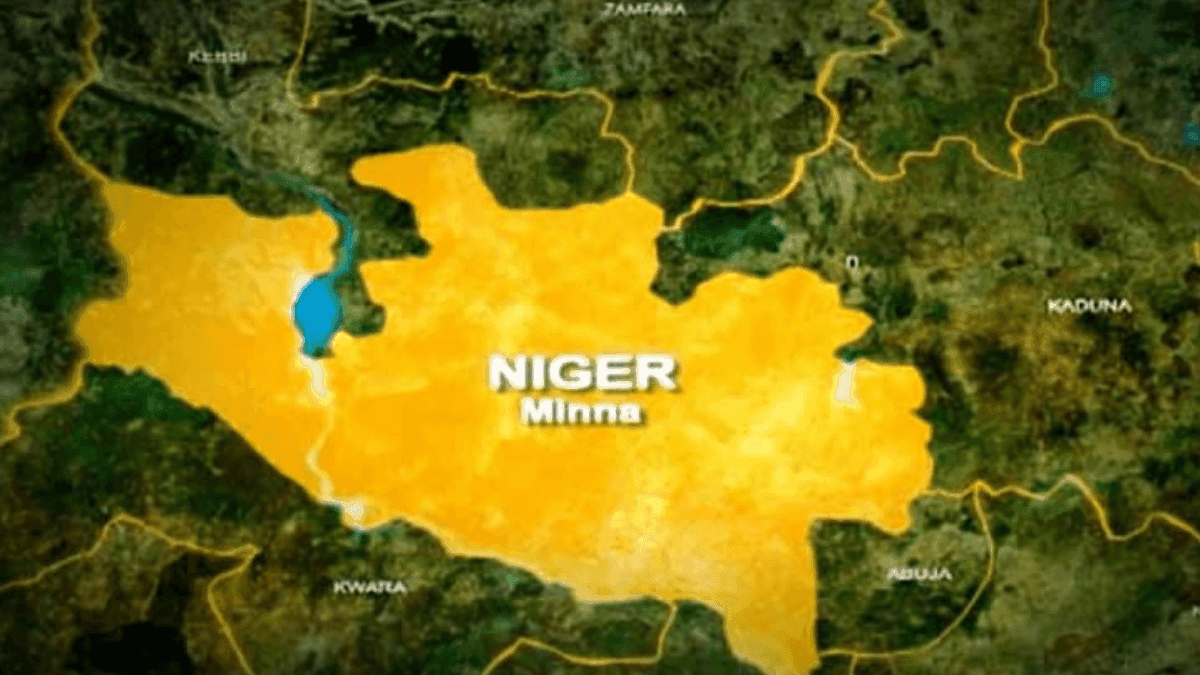 Niger State Overtakes Benue As Nigeria's Leading Food Producer