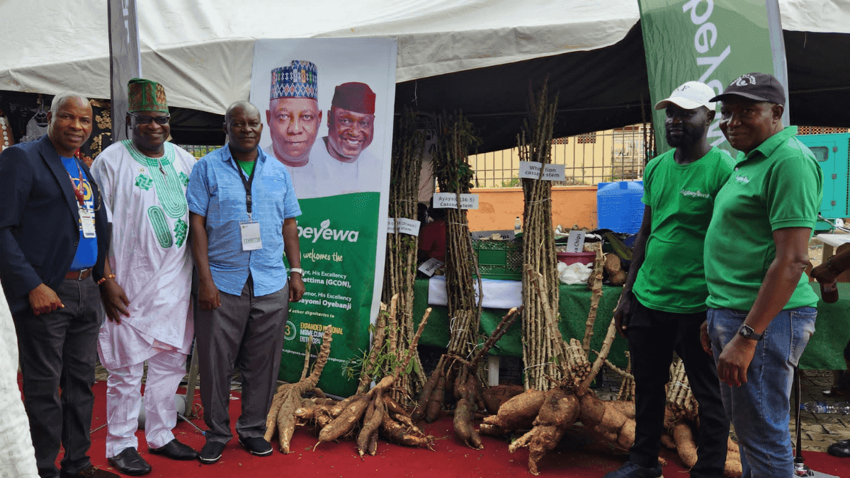 Agbeyewa Farms Partners USAID To Revolutionise Cassava Farming In Nigeria