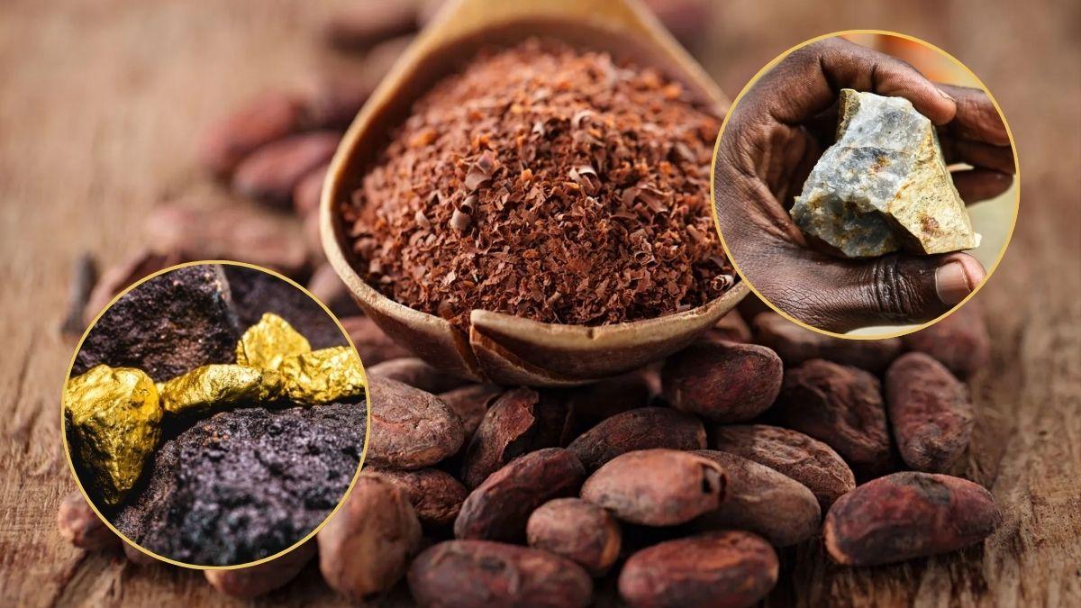 Uncertainty Looms In Global Cocoa Supply Chain As Ivory Coast Shifts To Mining