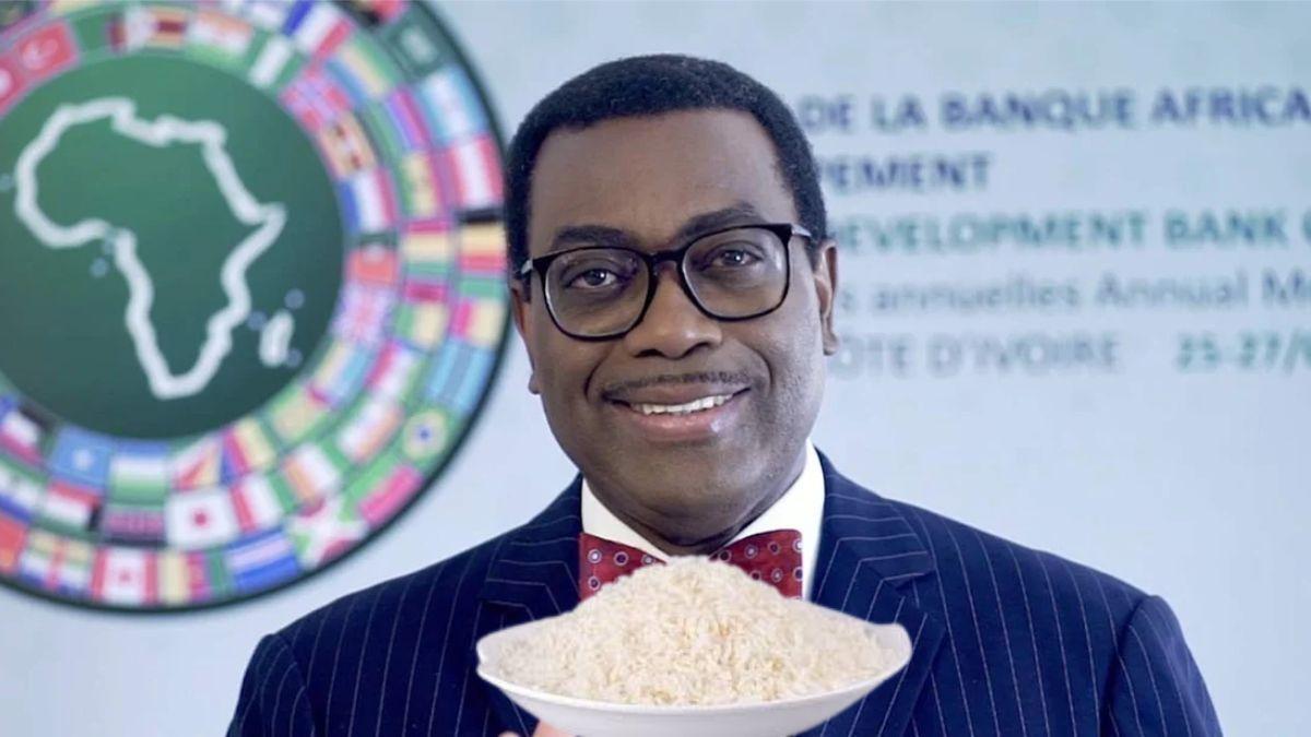 West Africa To Become Rice Self-Sufficient In Five Years - AfDB's Adesina Says