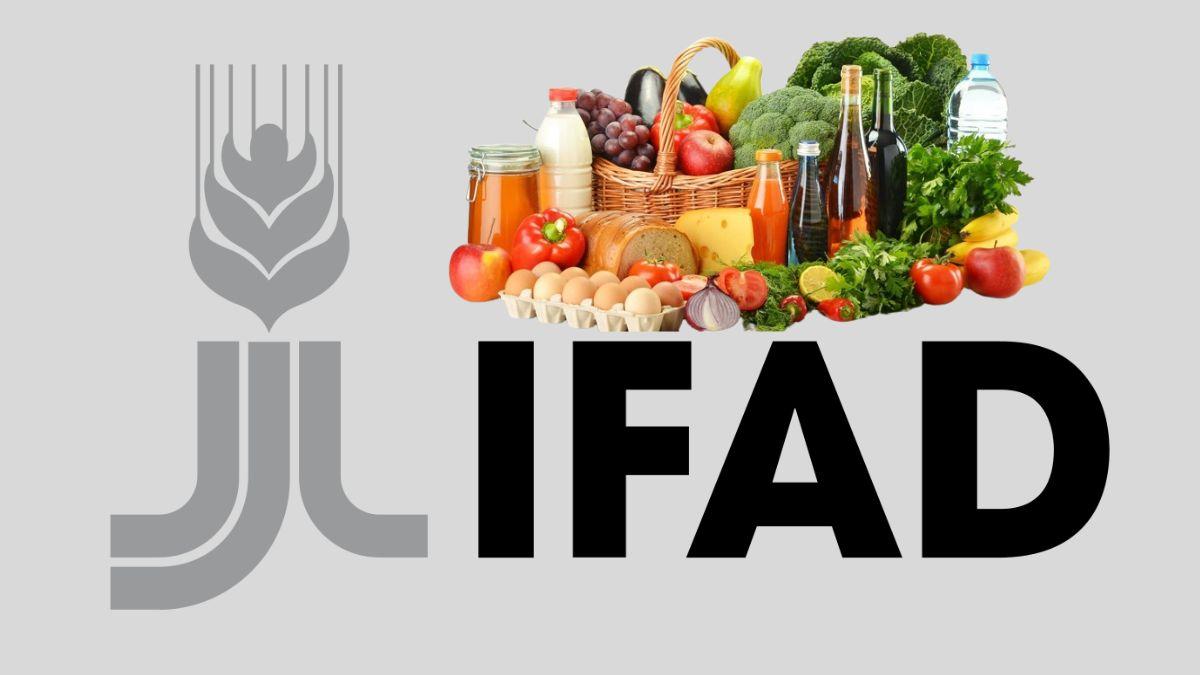 IFAD Invites Worldwide Proposals For Private Sector Investment In Food Systems
