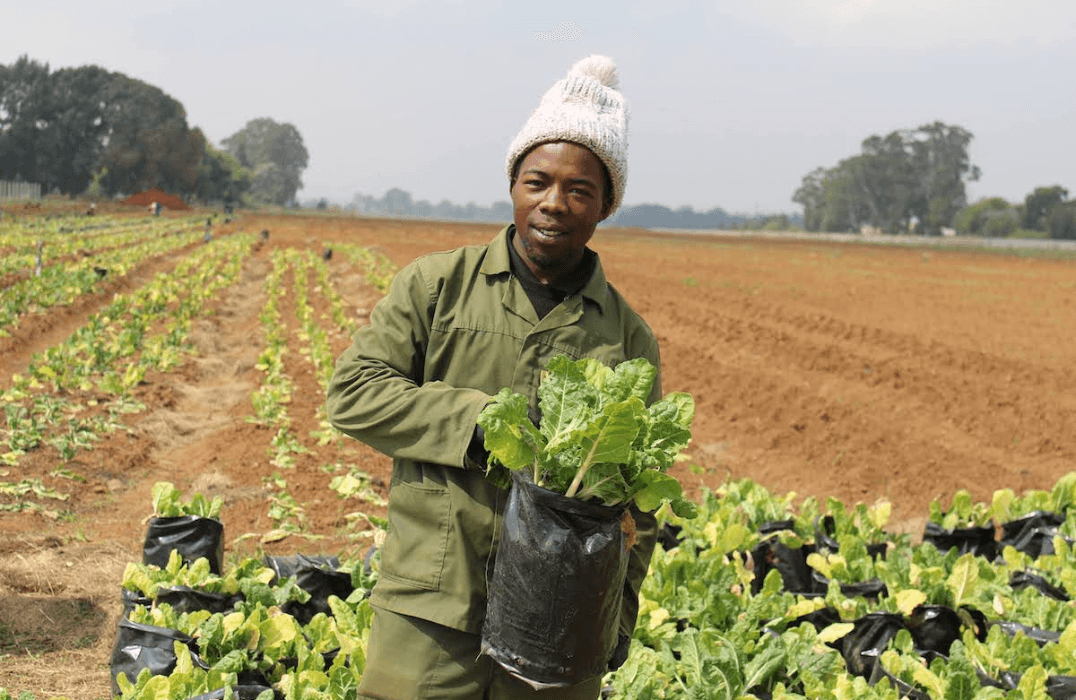FarmTrace Secures Funding to Expand Precision Farming Solutions in South Africa