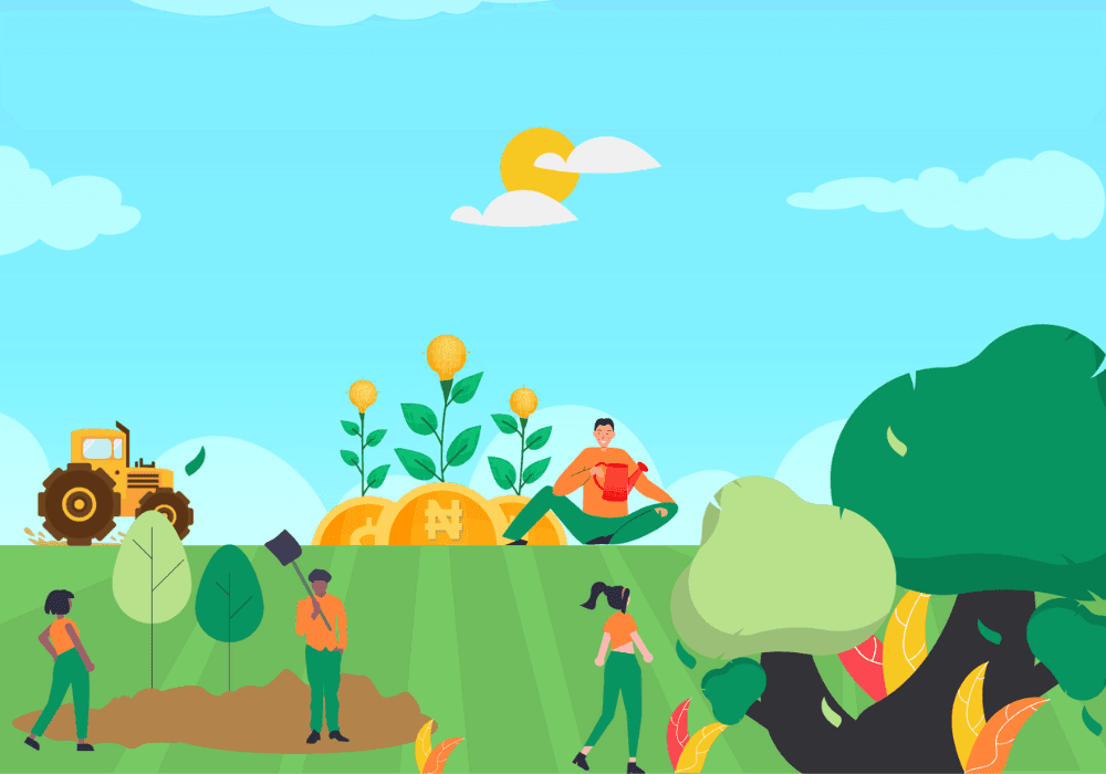 See Four Pillars For Transforming Nigeria's Agricultural Financing To Improve Effectiveness, Service delivery