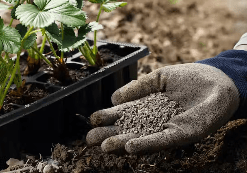 Bauchi, Gombe Government Begins Selling Subsidised Fertilisers
