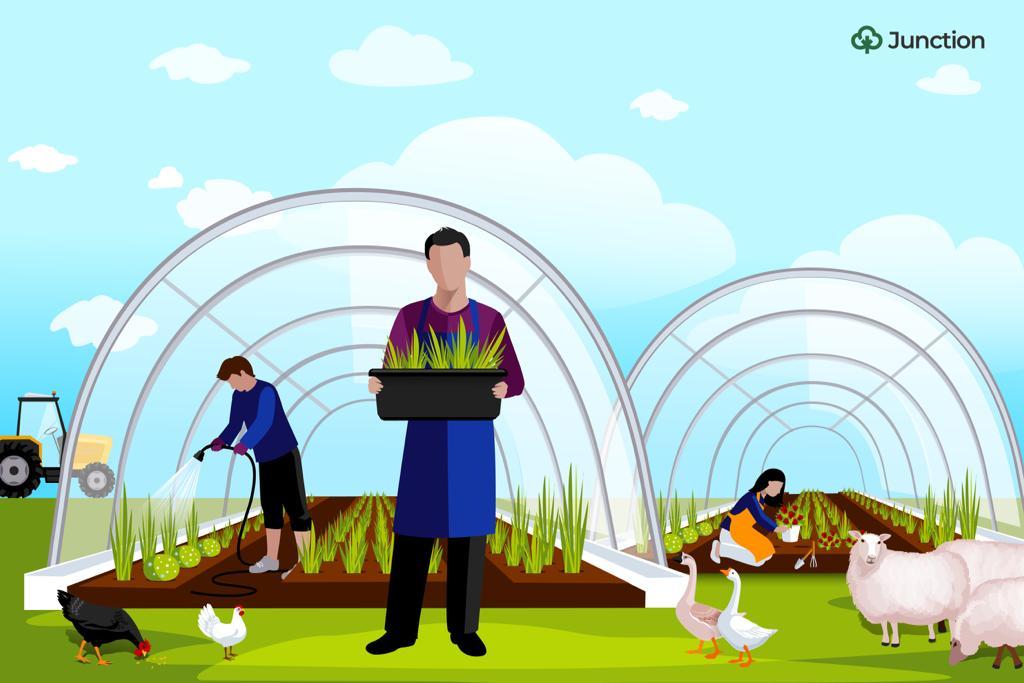 For Young People To Consider Agriculture