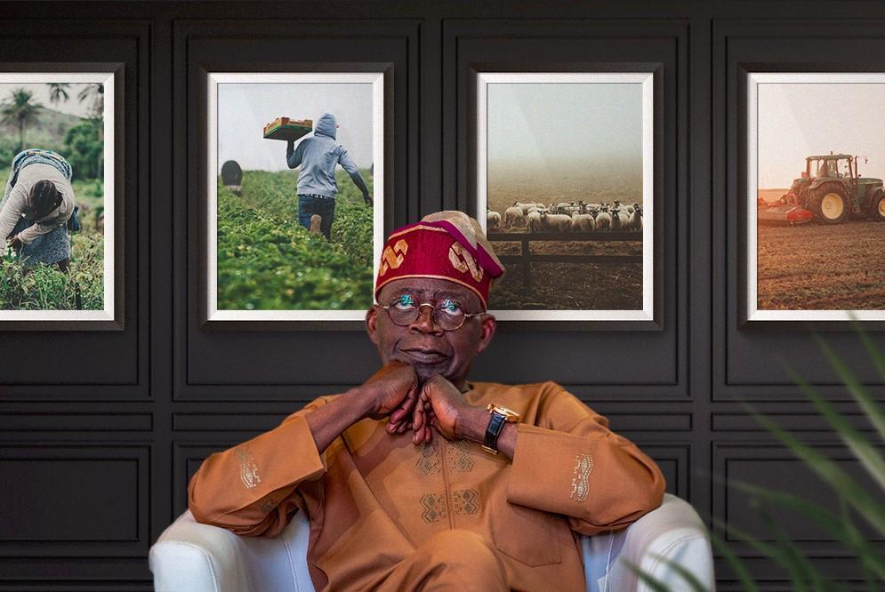 Agricultural Interventions In Tinubu's N500Bn Suffering Alleviation Plan