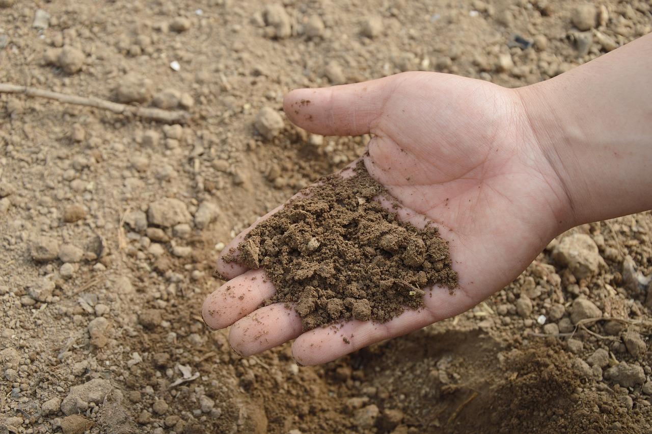 Biotech Startup Bioomix Raises $6.3m To Make Agriculture More Sustainable