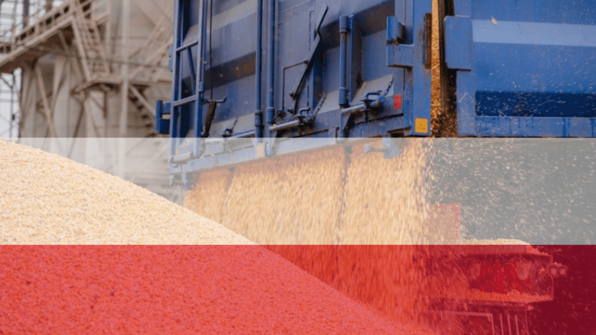 Poland Hints At Unilateral Ban On Ukraine's Agricultural Products