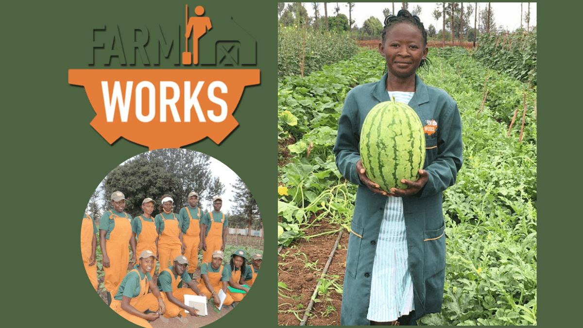 Kenyan Startup FarmWorks Raises $4.1M Funding In Pre-series A Round