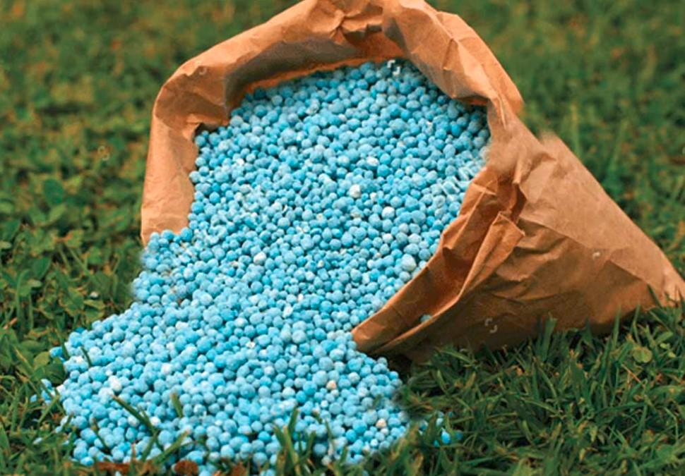 AFAN Begins Selling Fertilisers To Zaria Farmers On Loan