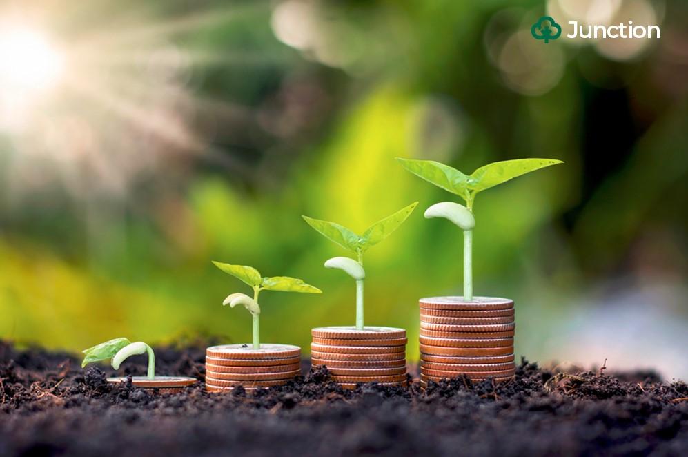 Can Nigeria finance its agricultural transformation like it financed Dangote's refinery?