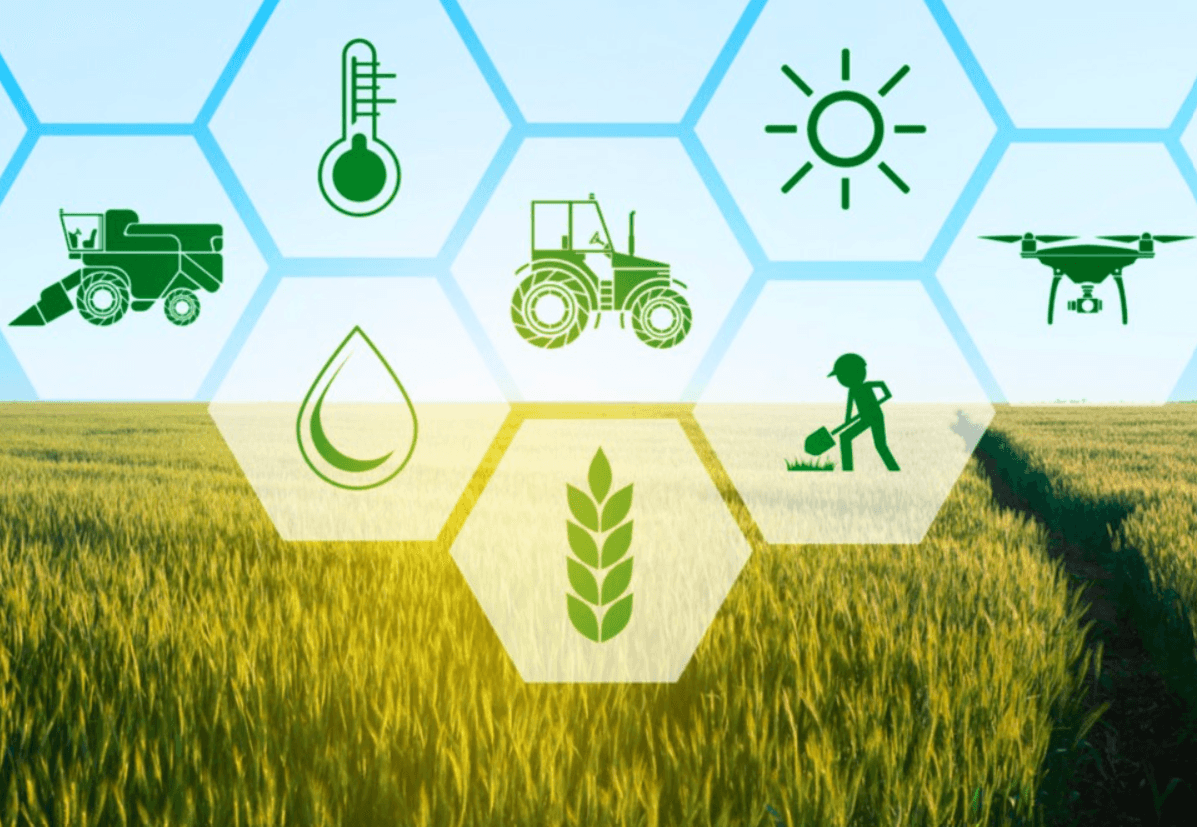 Turkey To Train 43,000 Farmers In Smart Agriculture