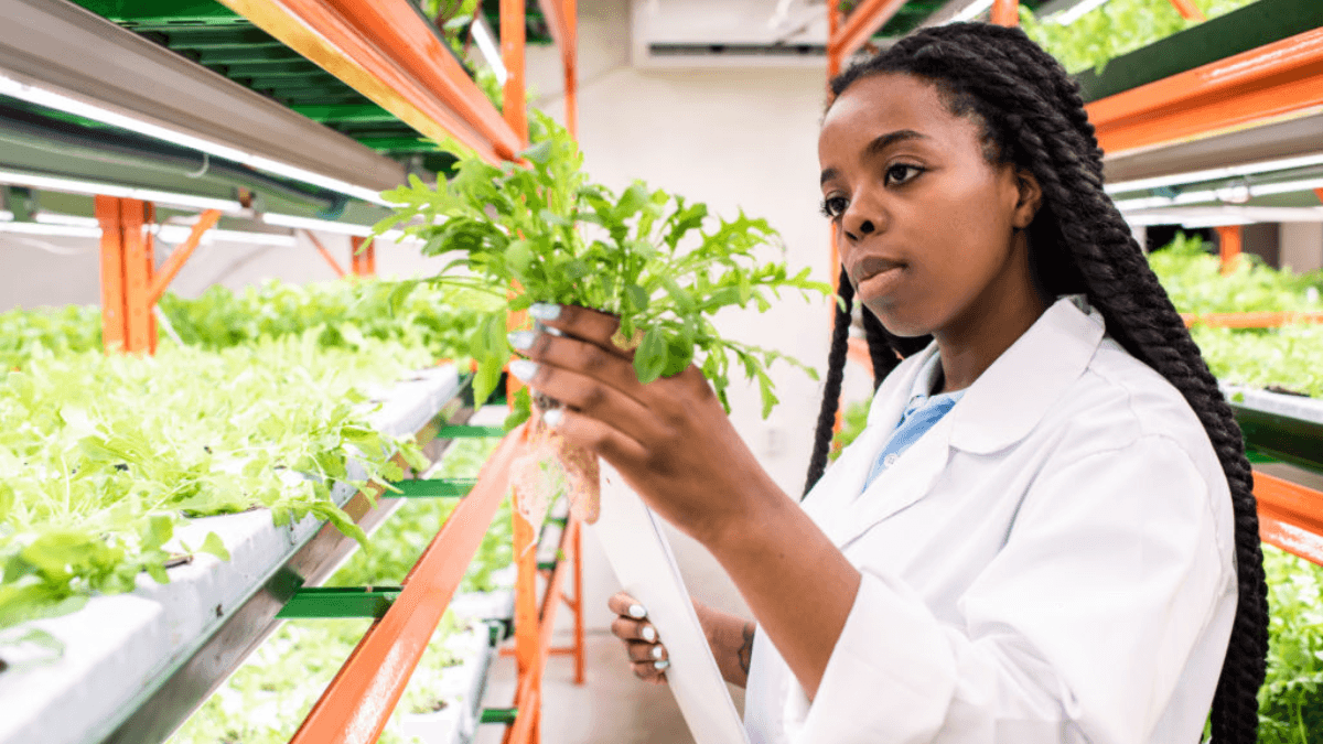 UK Announces Fresh Funding For Two New Agriculture Research, Feasibility Competitions