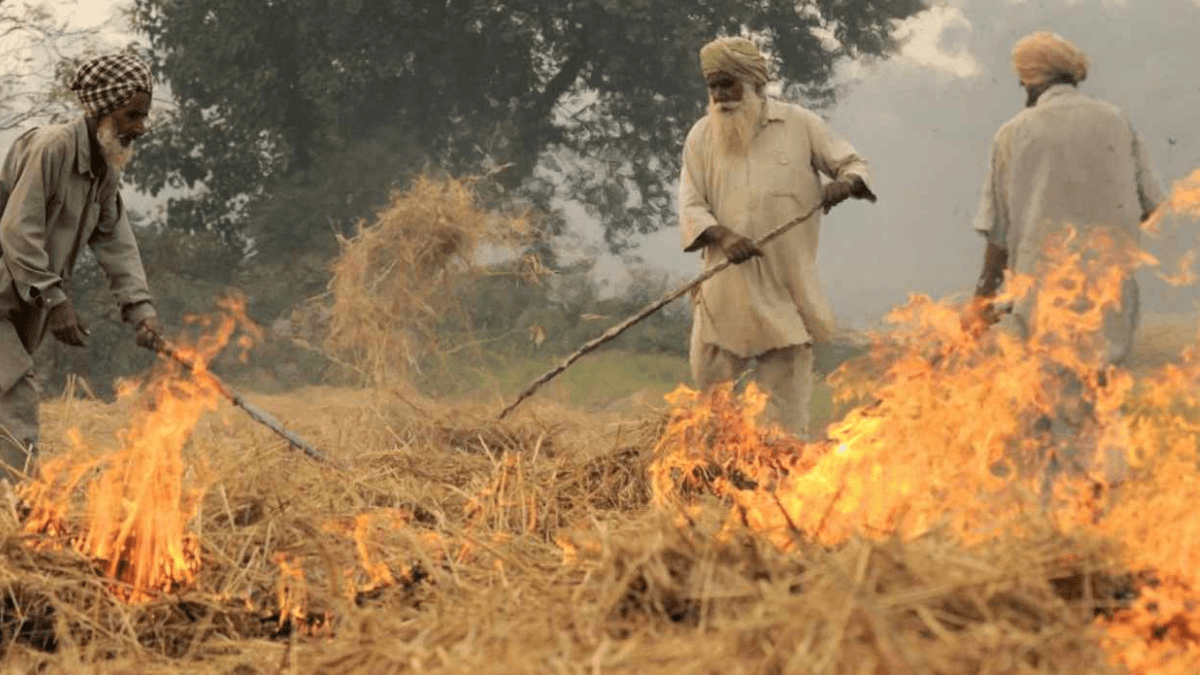 India Seeks To Reduce Air Pollution By Ending Crop Burning