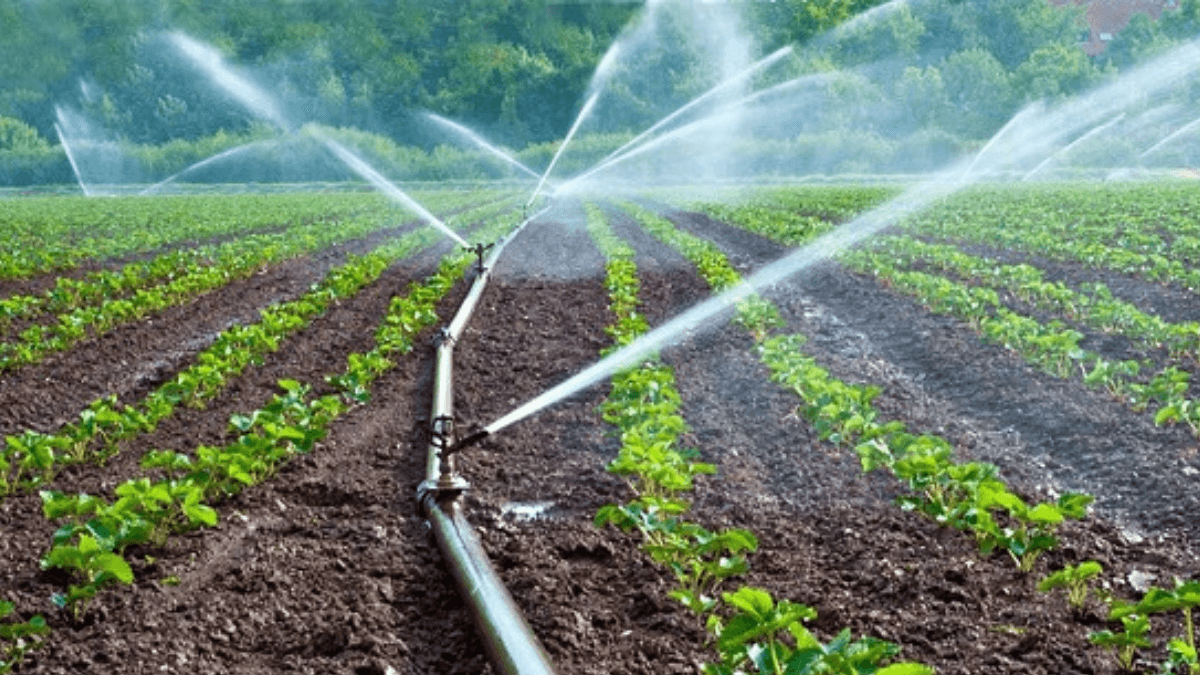 FG Urges State Governments To Provide Land For Irrigated Agriculture
