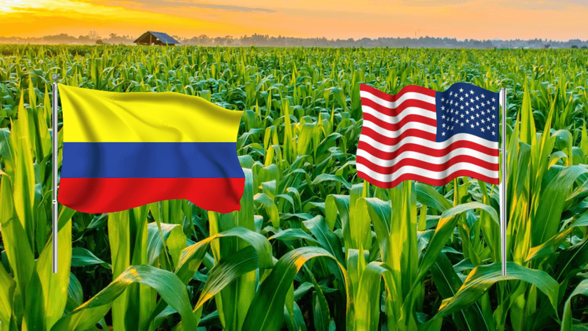 Colombia To Re-Negotiate Existing Free Trade Deal with US
