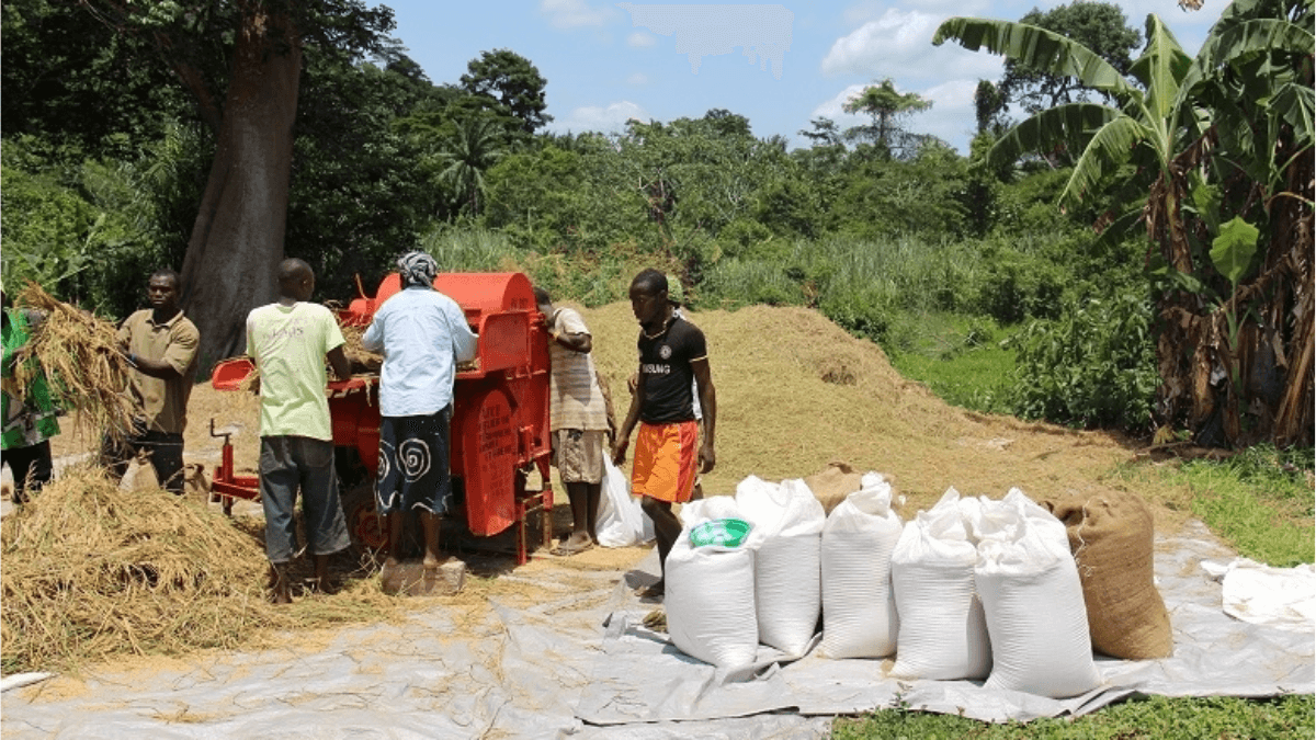 Liberia Completes Phase Towards Improving Agricultural And Rural Statistics