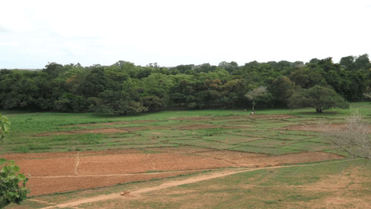 Ghana Begins Reclaiming Lands For Commercial Agriculture