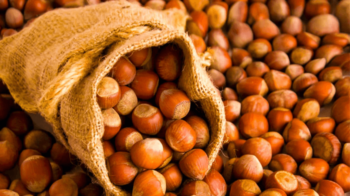 Ban Tropical Crops Cultivation To Save Turkeyâs Black Sea Agriculture - Scientist
