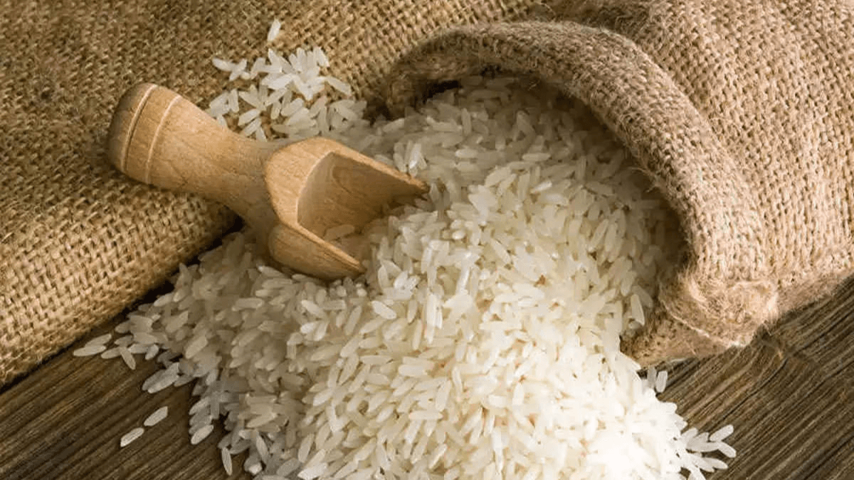 India Government Approves Export Of Rice Trapped At Ports After July Ban