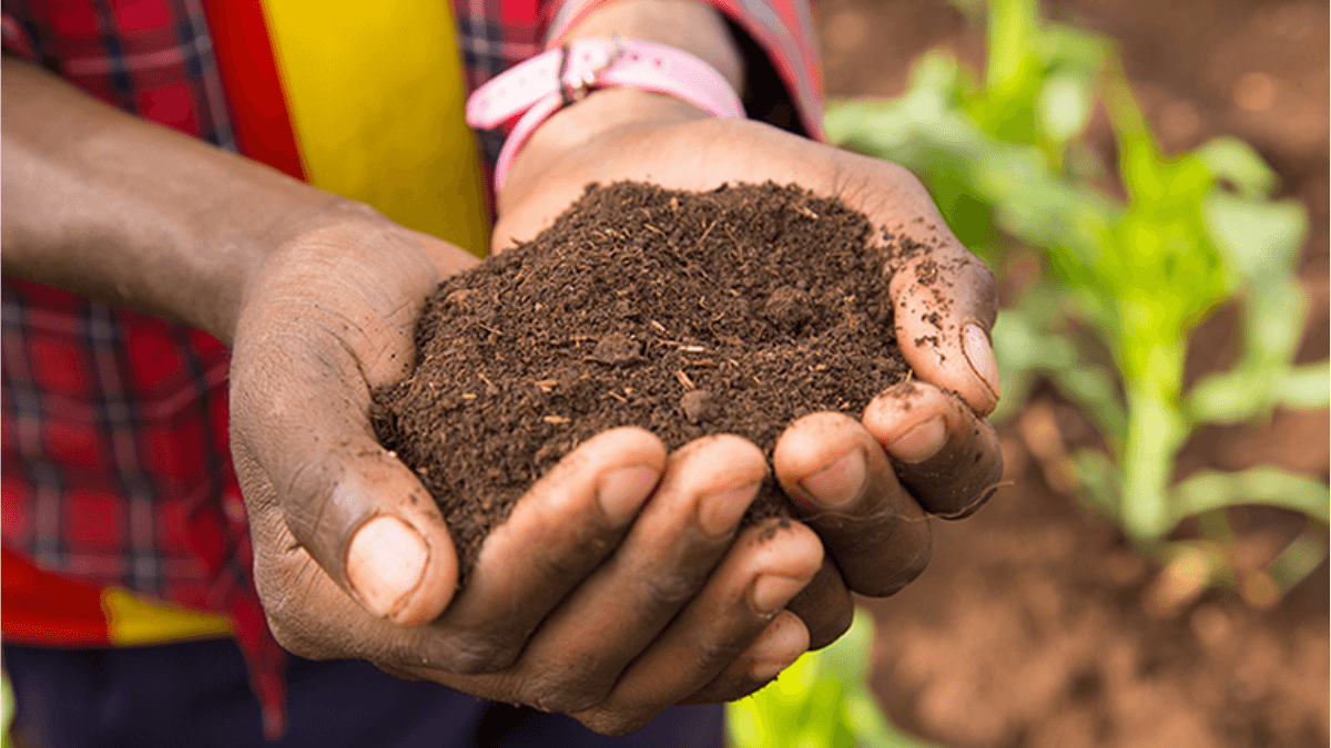 India To Partner US In Developing Agricultural Research
