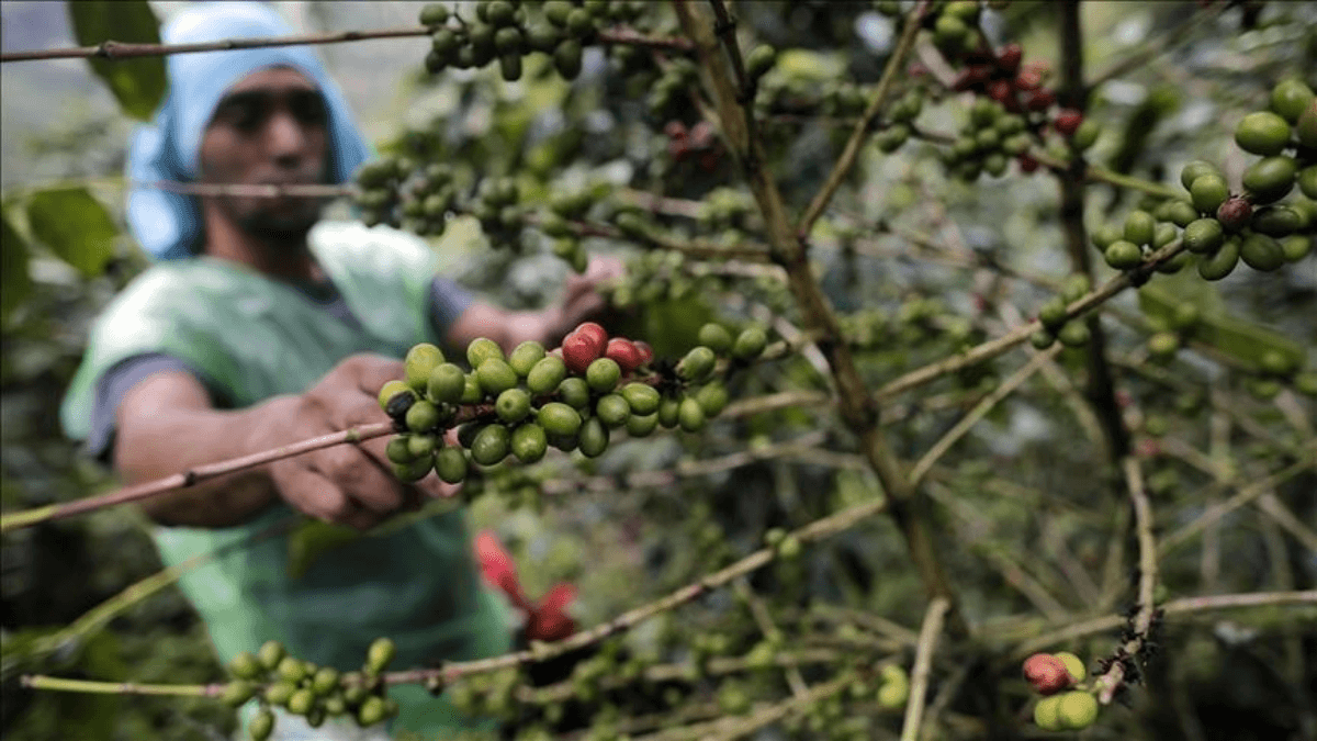 Tanzania Ministers Call For Increased Youth Engagement In Agriculture