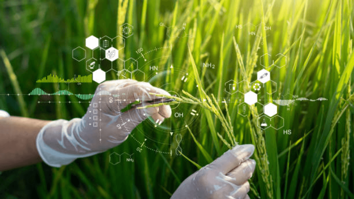 Brexit: UK Scientists Excited To Rejoin EU Horizon Research Programme