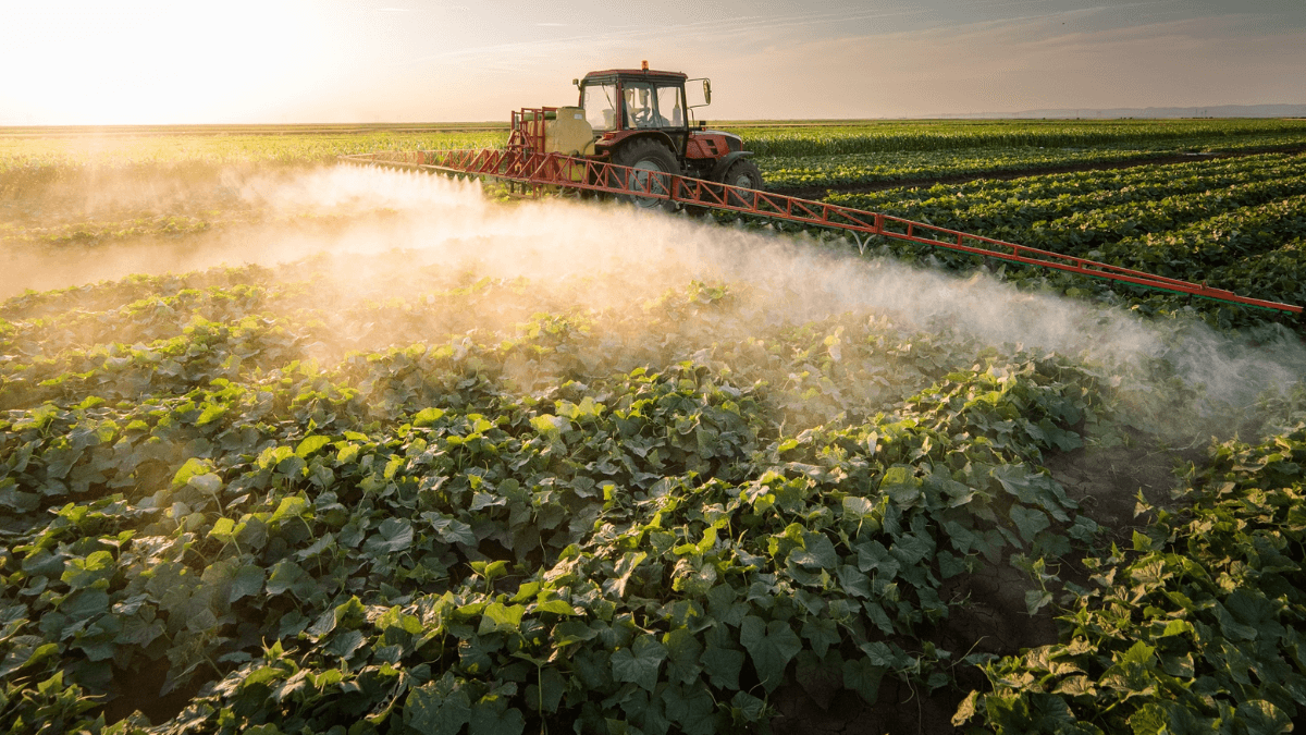 Campaigners Decry UK's Failure To Ban 36 EU-Prohibited Pesticides