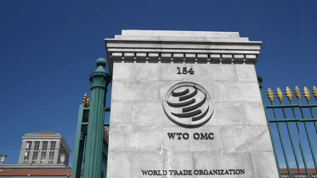Ukraine To Sue Poland, Hungary, And Slovakia Over Agriculture Import Ban