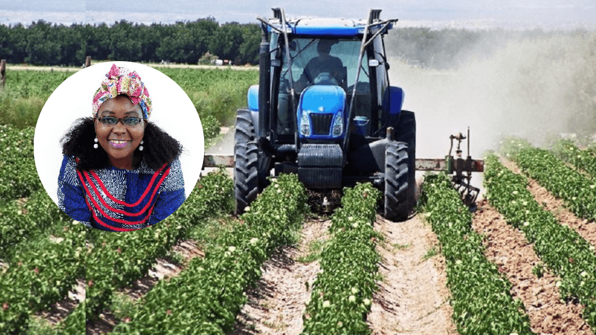 Increased Women's Involvement In Agriculture Can Boost Nigeria's Productivity
