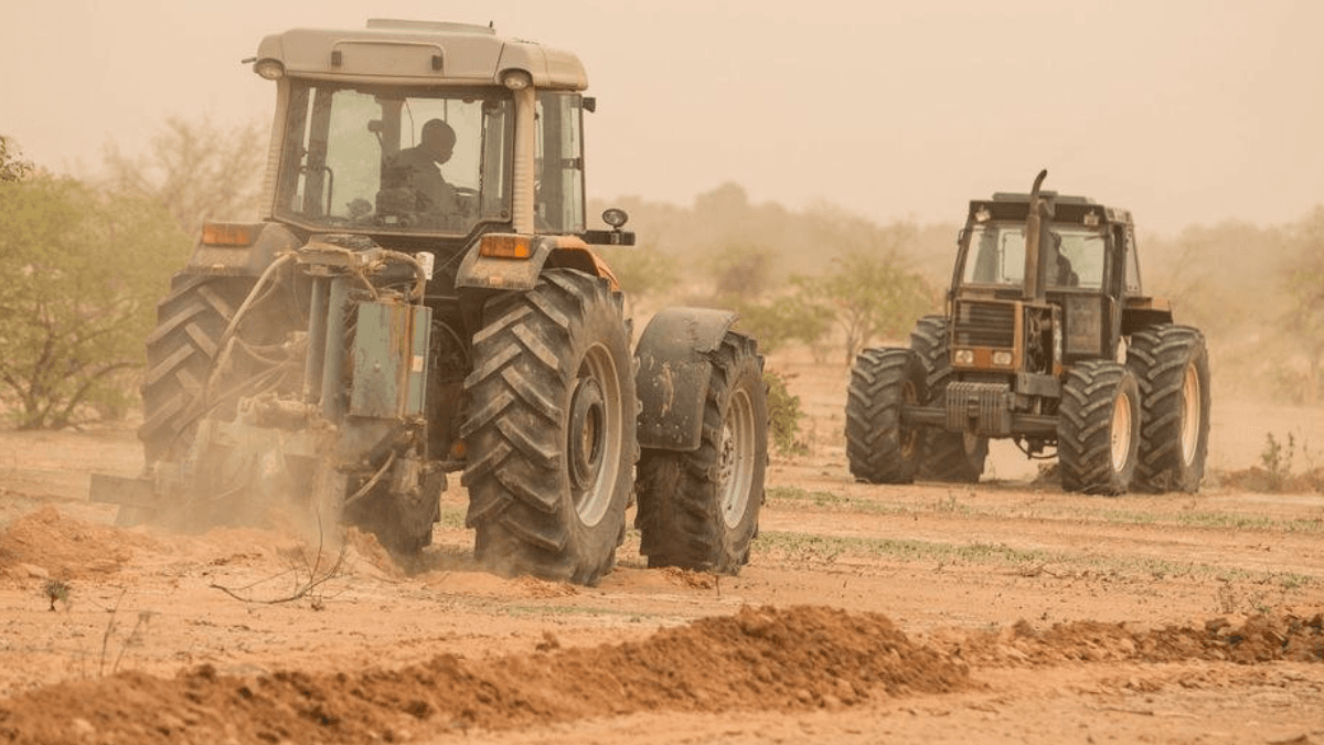 BUK Centre's Dry Land Agriculture And Food Security Conference