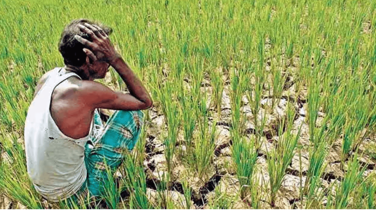 Thailand Approves $900M Plan To Suspend Debt Payments for Farmers For 3 Years
