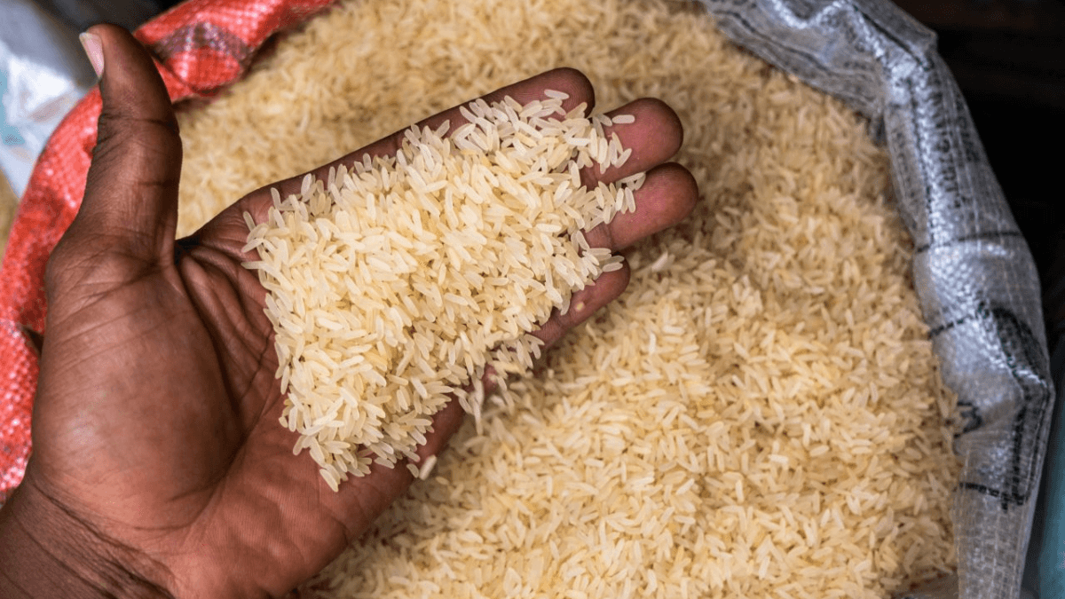 China Trains 400 Government Officials To Enhance Agricultural Cooperation With Nigeria
