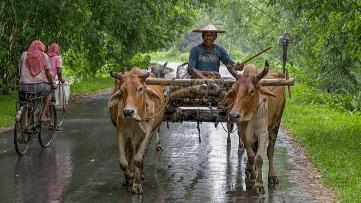 India's Lowest Monsoon Rainfall In 5 years To Hit Agricultural Production, Raise Food Inflation