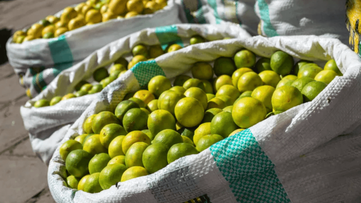 El Niño Wrecks Peru's Fruit Crops, Agricultural Exports