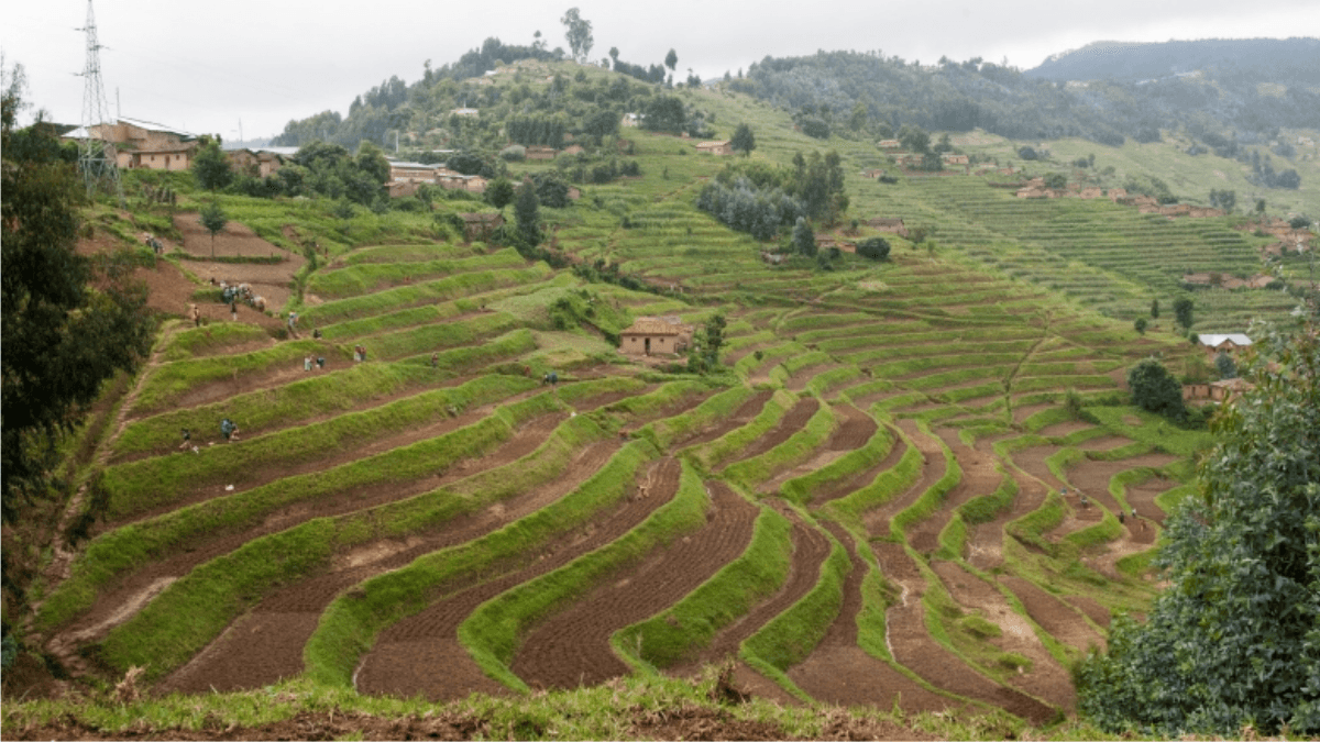Rwanda To Assign Residents Vacant Arable Land To Boost Food Security