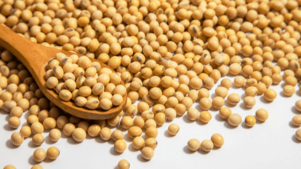 Brazil's 2023/24 Soybean Harvest Expected To Hit All-Time High