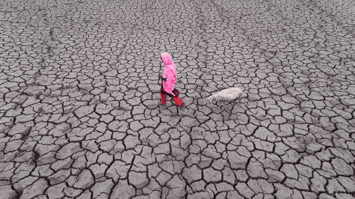 Natural Disasters Responsible For â¬3.6T Worth Of Agricultural Losses In Last 30 Years