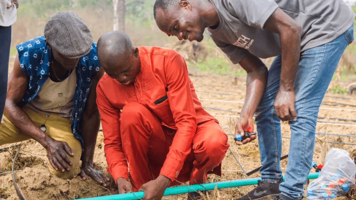 Nigeria Partners Netherlands To Address Agricultural Challenges, Improve Food Security