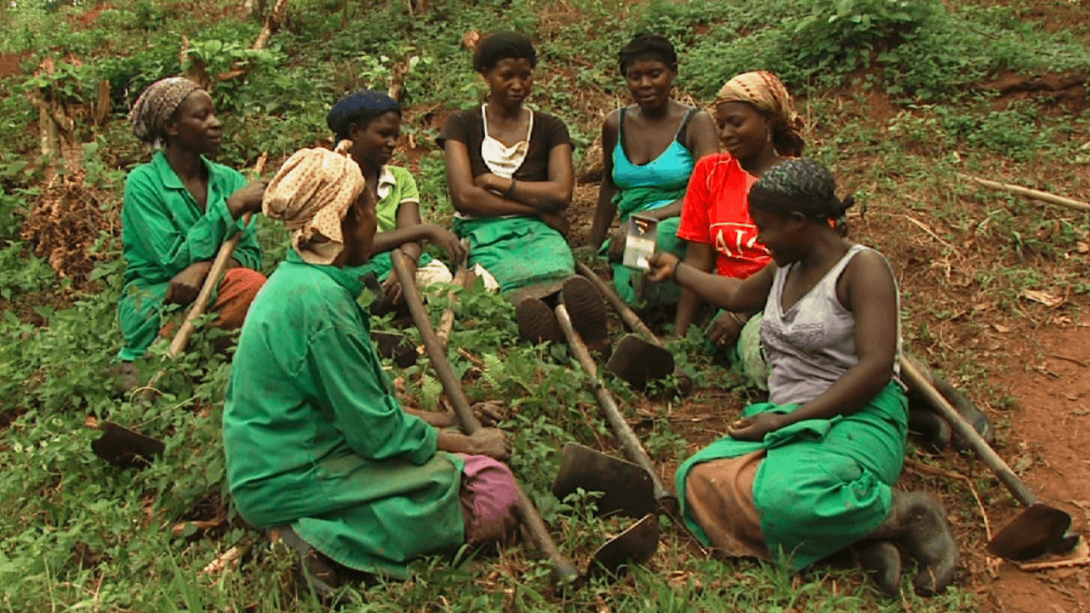 UK Plows £95M Into Climate-Smart Agriculture For 4 Million Nigerians