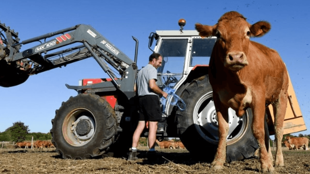 France Enacts Law To Shield Farmers From Noise, Odour Complaints