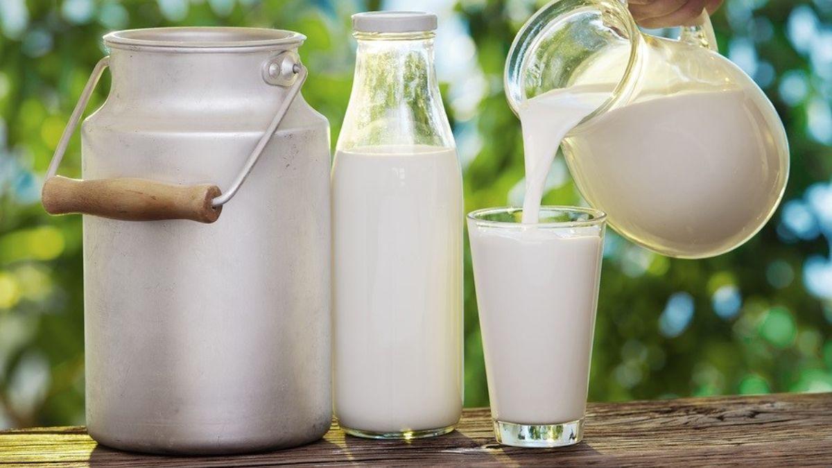 Nigeria’s Central Bank Lifts Forex Restrictions On Milk, Dairy Products