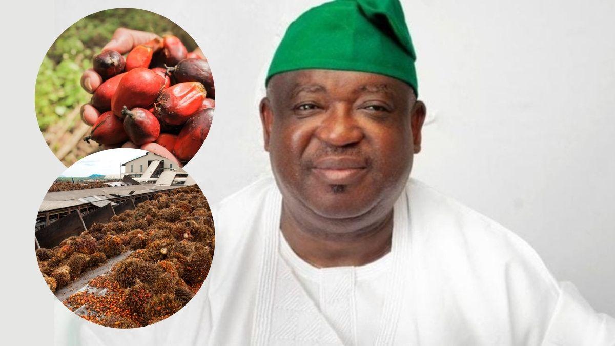 Plateau State, COPASC Partner For 4,000-Hectare Oil Palm Plantation
