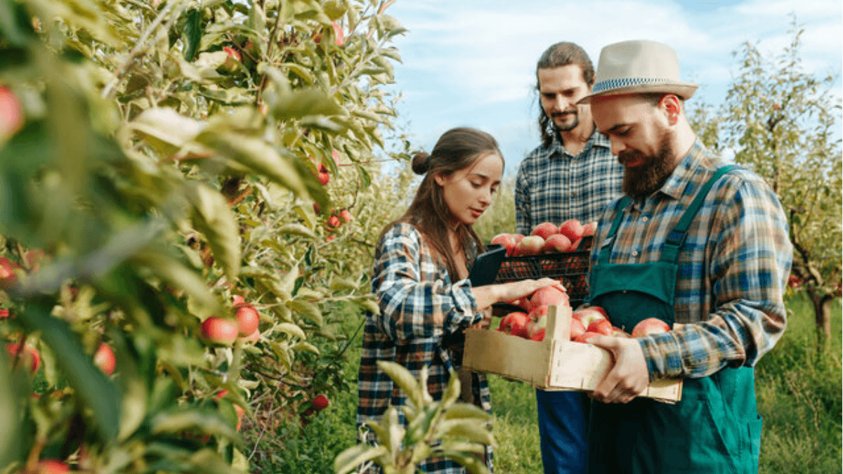 Canada's Youth Employment And Skills Program Accepting Applications Now
