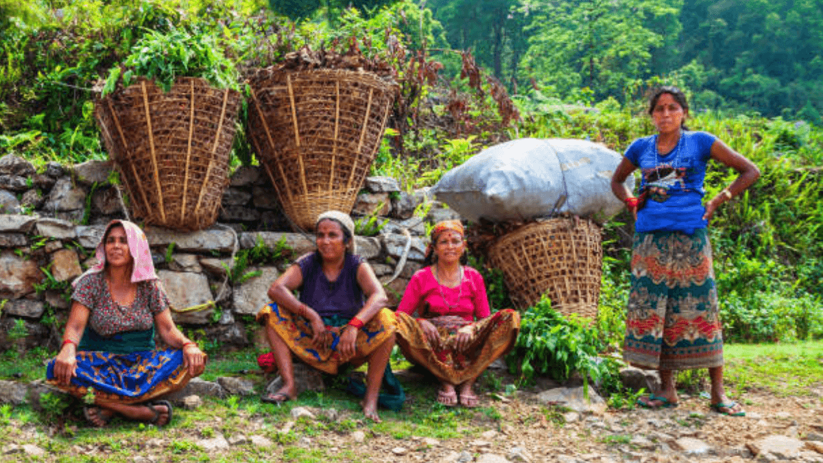 Nepal Farmers Seek Opportunities Abroad Amid Climate Disasters
