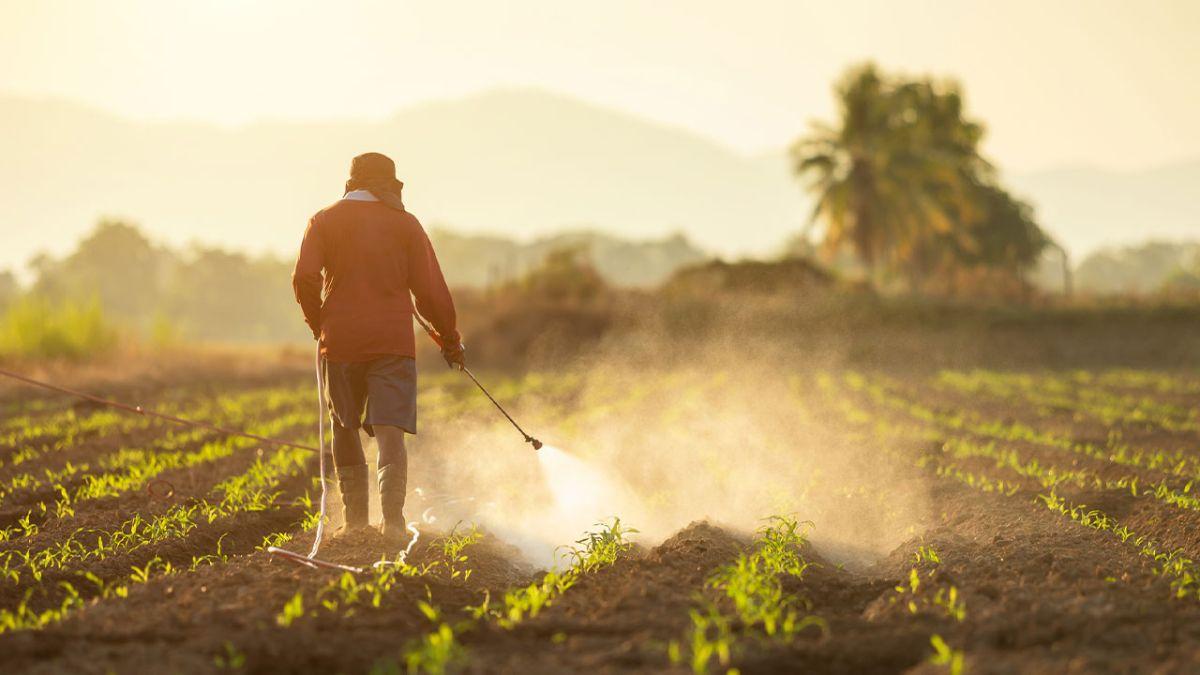 African Agrochemical Market Poised For 4.6% Growth In Five Years