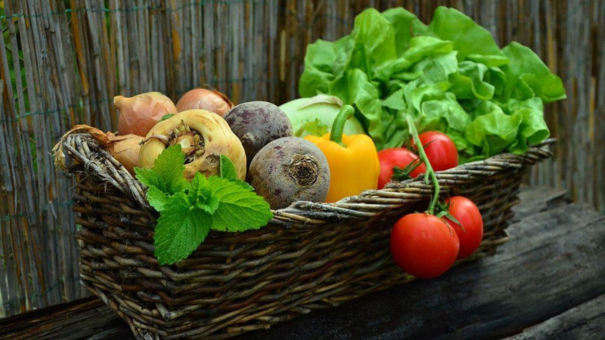 Global Vegetable Seed Market Estimated To Reach $8.6b By 2032