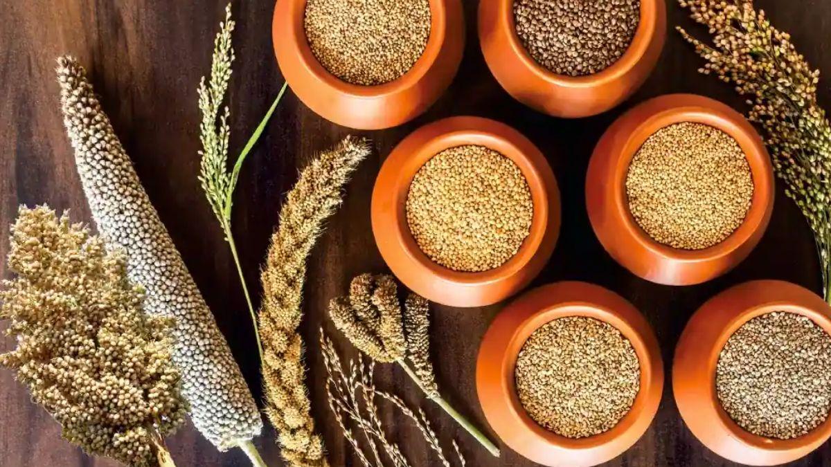 Food Prices Drop By 1% In January 2024, Global Cereal Production Hits Record In 2023