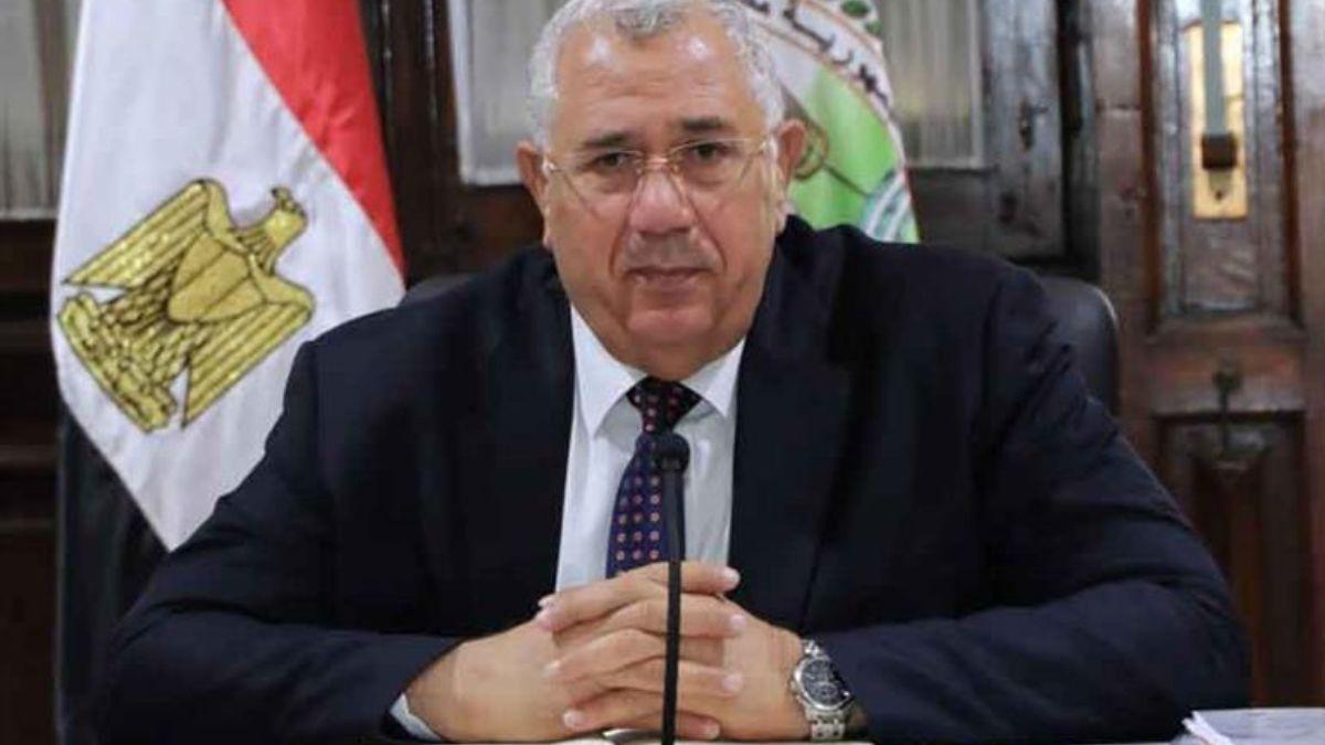 Egypt's Agricultural Exports Soar To $9b In 2023 As Japan Expansion Pays