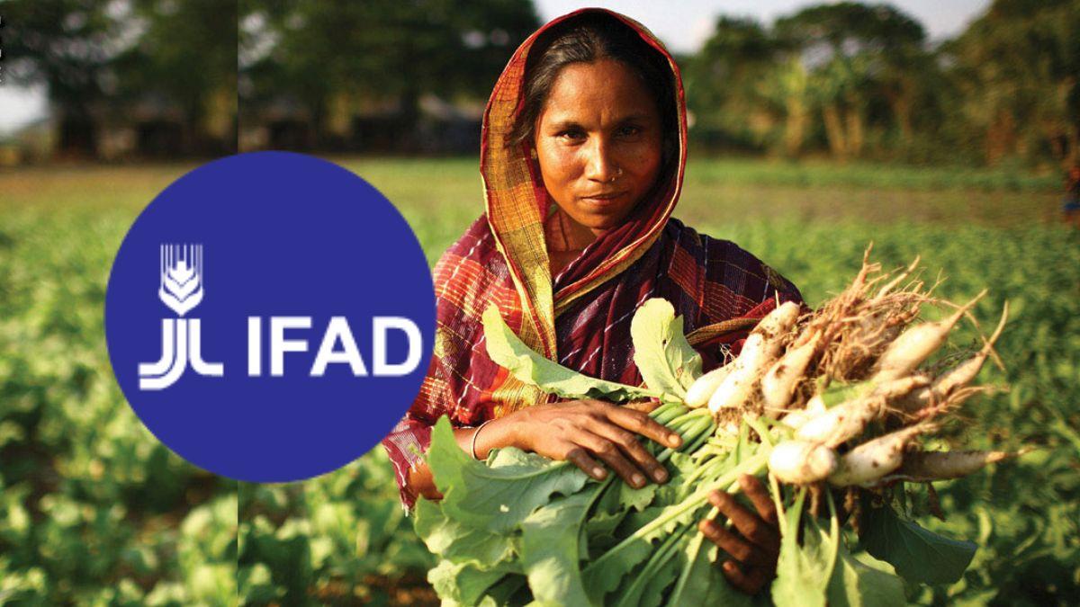 IFAD Begins Accepting Proposals For $1.5 Million Rural M & E Program Grant